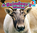 A Reindeer's World cover