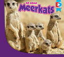 All About Meerkats cover