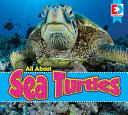 All About Sea Turtles cover