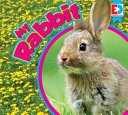 My Rabbit cover