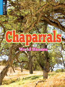 Chaparrals (Lightbox) cover