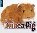 Guinea Pig (Lightbox) cover