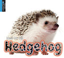 Hedgehog (Lightbox) cover