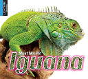 Iguana (Lightbox) cover