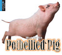 Potbellied Pig (Lightbox) cover