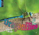 Dragonflies (Lightbox) cover
