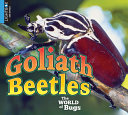 Goliath Beetles (Lightbox) cover