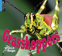 Grasshoppers (Lightbox) cover