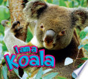I Am a Koala cover