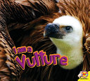 I Am a Vulture cover