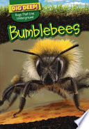 Bumblebees cover