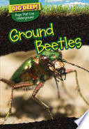 Ground Beetles cover