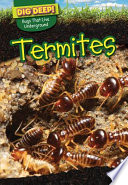 Termites cover