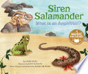 Siren Salamander: What Is an Amphibian? cover