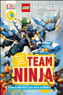 Team Ninja cover