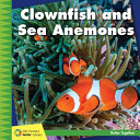 Clownfish and Sea Anemones cover
