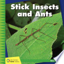 Stick Insects and Ants cover