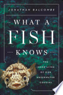 What a Fish Knows: The Inner Lives of Our Underwater Cousins