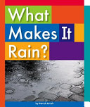 What Makes It Rain? cover
