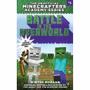 Battle in the Overworld cover