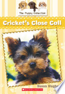 Cricket's Close Call cover