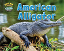 American Alligator cover