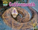 Cottonmouth cover