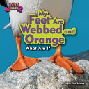My Feet Are Webbed and Orange cover