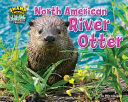 North American River Otter cover