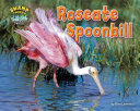 Roseate Spoonbill cover
