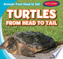 Turtles from Head to Tail cover