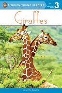 Giraffes cover