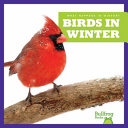 Birds in Winter cover