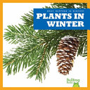 Plants in Winter cover