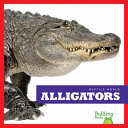 Alligators cover