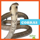 Cobras cover