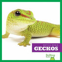 Geckos cover