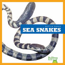 Sea Snakes cover