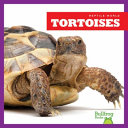 Tortoises cover