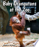 Baby Orangutans at the Zoo cover
