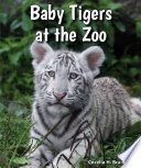 Baby Tigers at the Zoo cover