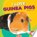 I Love Guinea Pigs cover