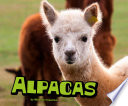 Alpacas cover