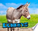 Donkeys cover