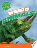 Weird Animals cover