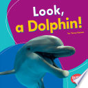 Look, a Dolphin! cover