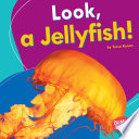 Look, a Jellyfish! cover
