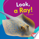Look, a Ray! cover