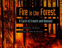 Fire in the Forest: A Cycle of Growth and Renewal cover