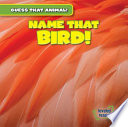 Name That Bird! cover